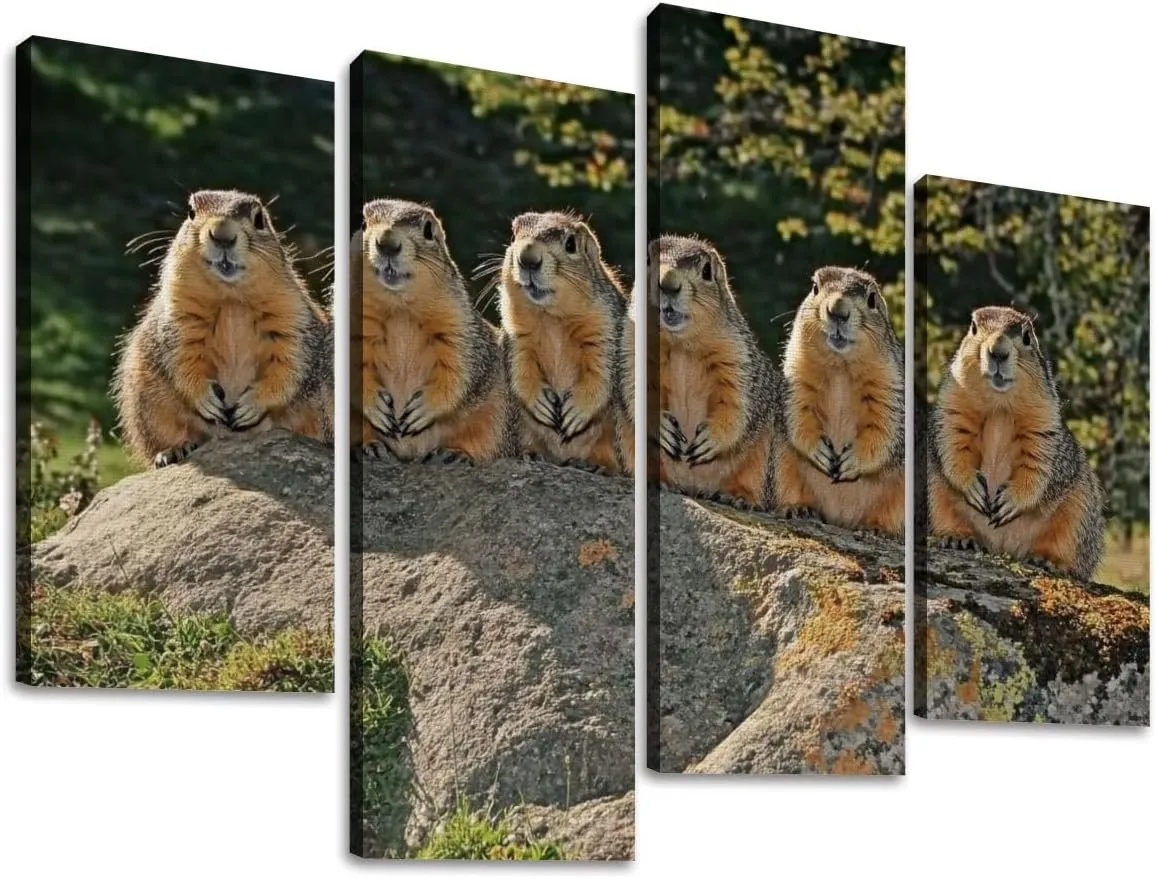 Alpine Marmot marmota marmota Adults standing Rocks Alps South East Canvas Prints Wall Decor 4 Pieces Contemporary Framed Artworks for Living Room Bedroom Bathroom Office Home Decoration Gifts