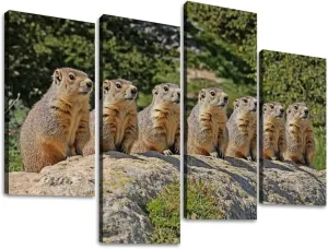 Alpine Marmot marmota marmota Adults standing Rocks Alps South East Canvas Prints Wall Decor 4 Pieces Contemporary Framed Artworks for Living Room Bedroom Bathroom Office Home Decoration Gifts