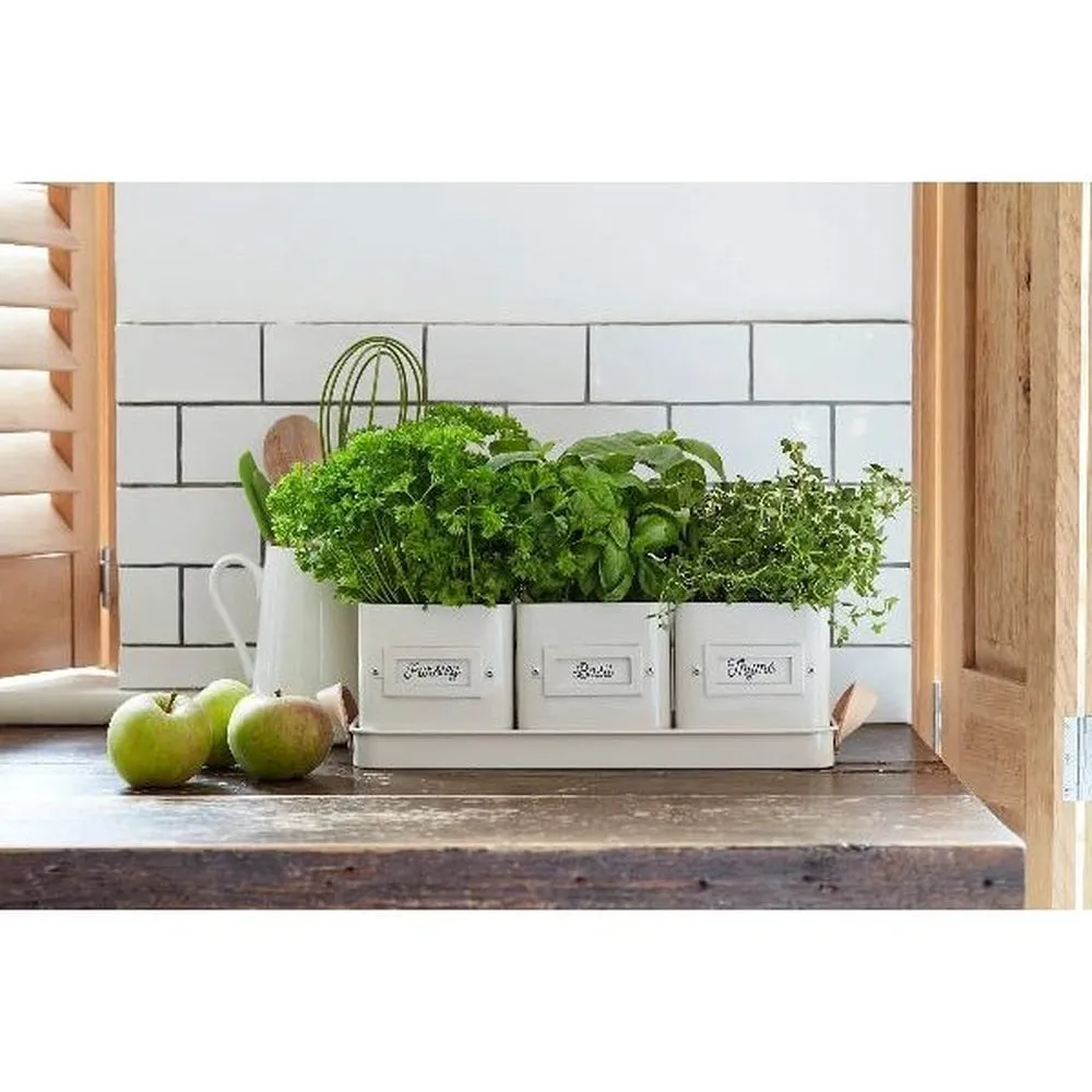Burgon & Ball - Herb Pots - Stone