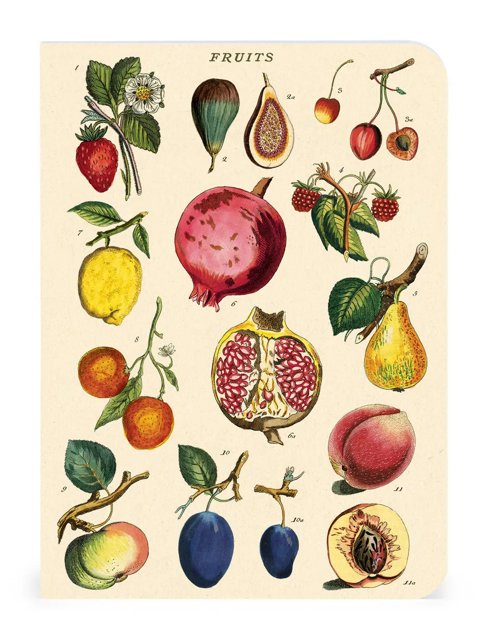 Cavallini & Co. Le Jardin Mini Notebook Set