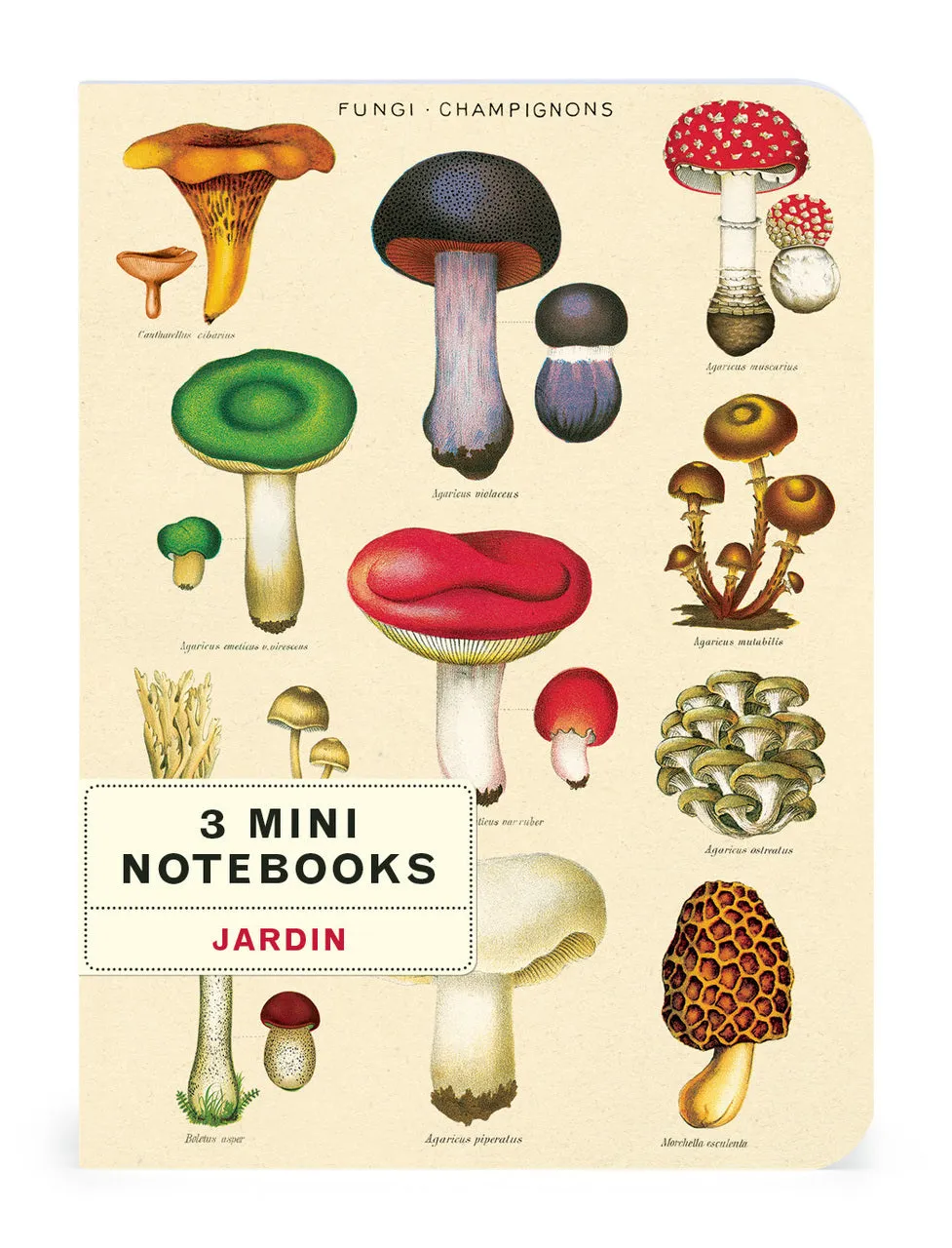 Cavallini & Co. Le Jardin Mini Notebook Set