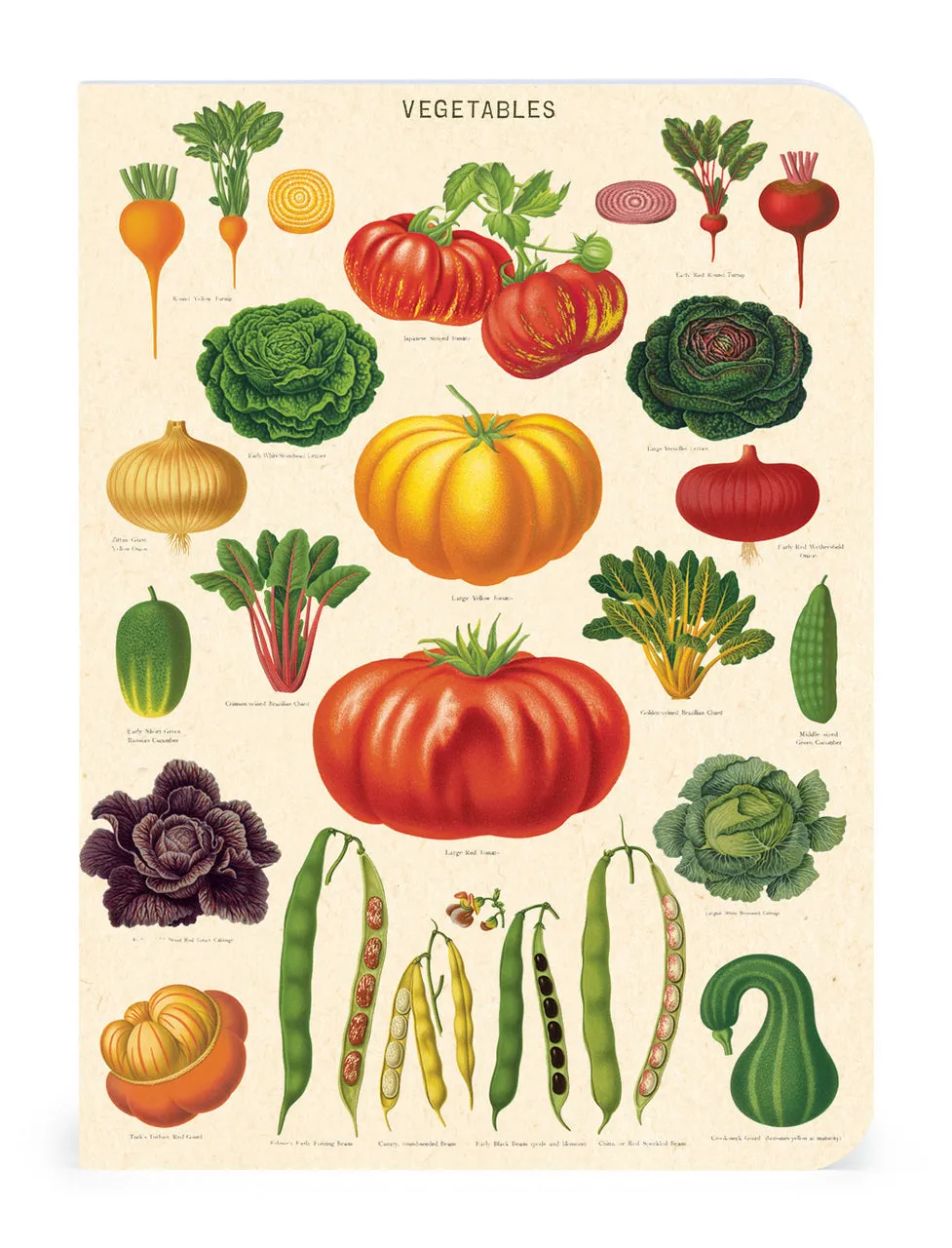 Cavallini & Co. Le Jardin Mini Notebook Set