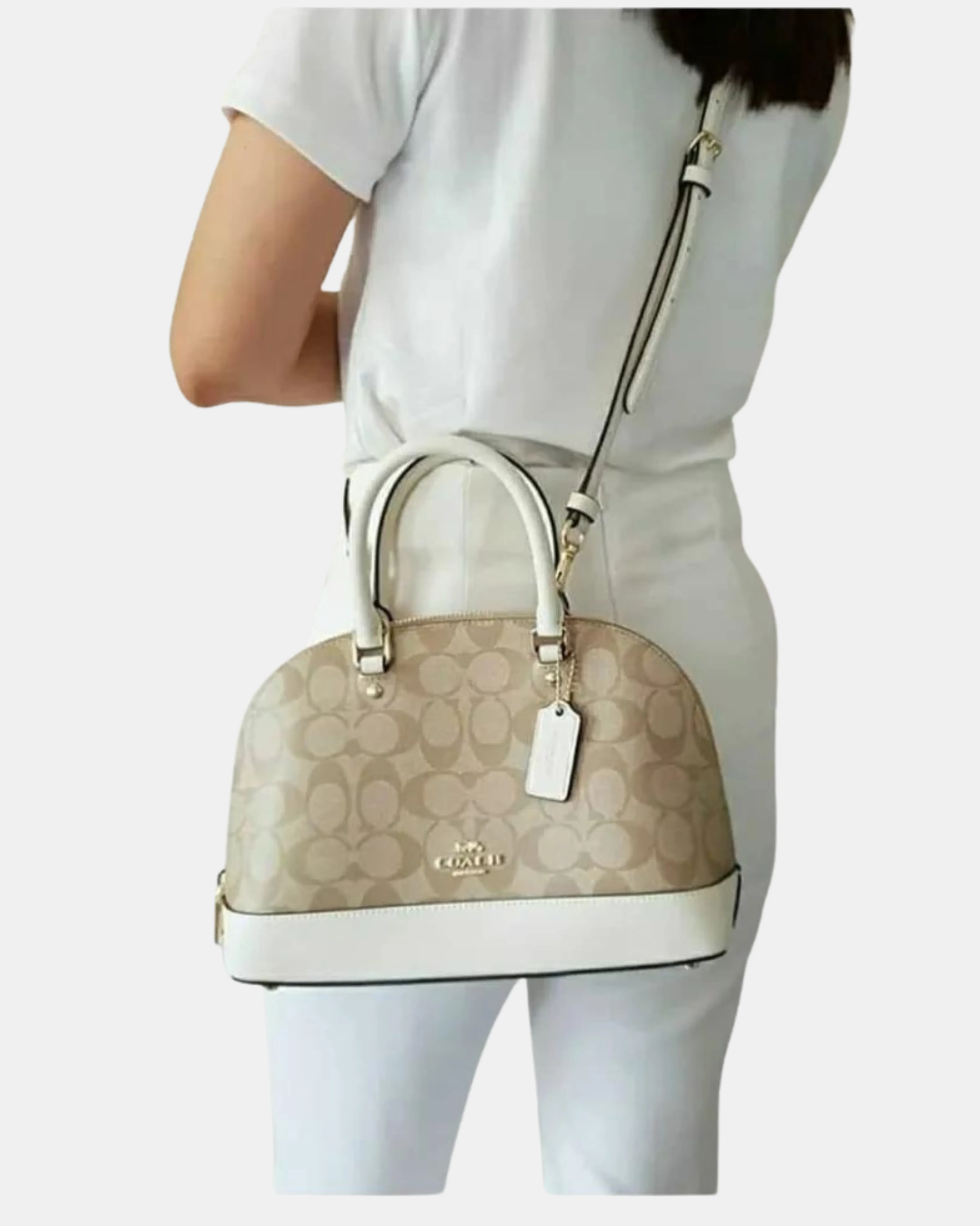Coach Sierra Satchel In Signature Canvas