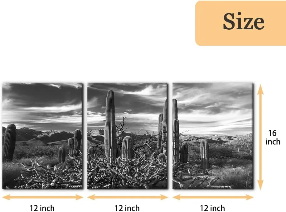 Pacimo 3 Pieces Black and White Canvas Wall Art Sunset Landscape of National Park Arizona Sonoran Desert Cactus Pictures Painting Prints on Canvas Modern Artwork for Home Office Decor - 12"x16"x3