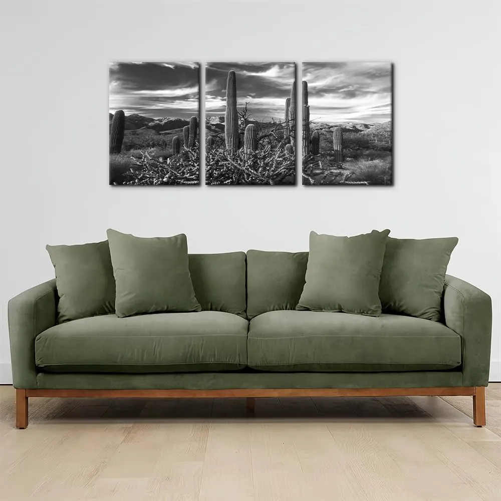 Pacimo 3 Pieces Black and White Canvas Wall Art Sunset Landscape of National Park Arizona Sonoran Desert Cactus Pictures Painting Prints on Canvas Modern Artwork for Home Office Decor - 12"x16"x3