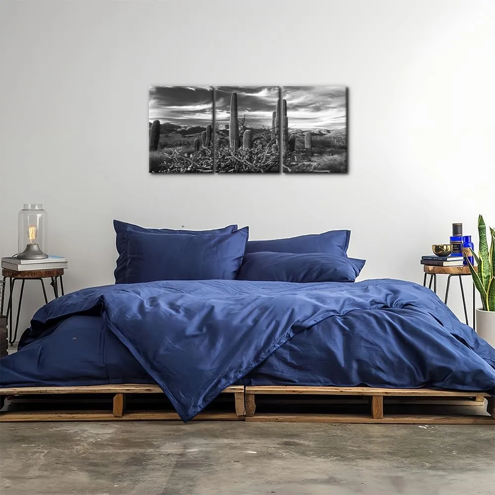 Pacimo 3 Pieces Black and White Canvas Wall Art Sunset Landscape of National Park Arizona Sonoran Desert Cactus Pictures Painting Prints on Canvas Modern Artwork for Home Office Decor - 12"x16"x3