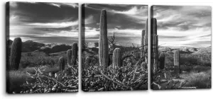 Pacimo 3 Pieces Black and White Canvas Wall Art Sunset Landscape of National Park Arizona Sonoran Desert Cactus Pictures Painting Prints on Canvas Modern Artwork for Home Office Decor - 12"x16"x3