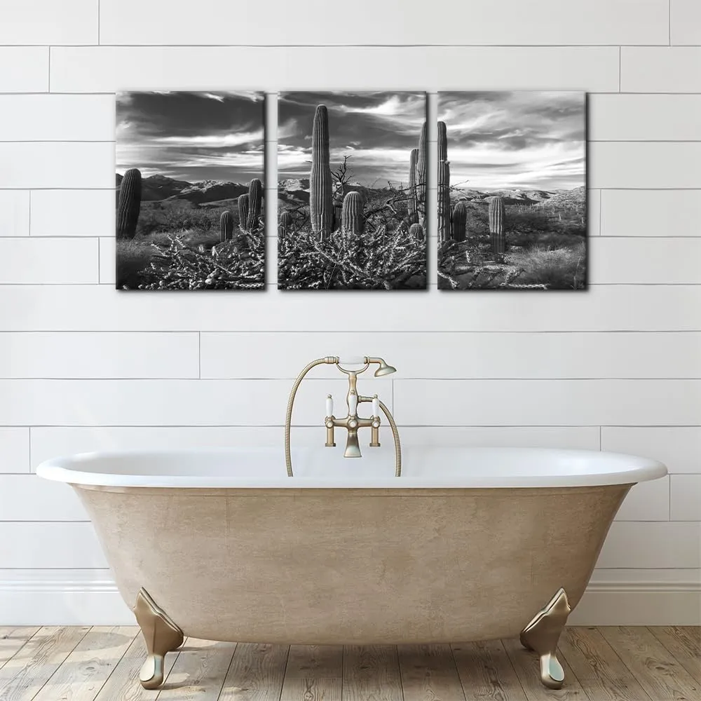 Pacimo 3 Pieces Black and White Canvas Wall Art Sunset Landscape of National Park Arizona Sonoran Desert Cactus Pictures Painting Prints on Canvas Modern Artwork for Home Office Decor - 12"x16"x3