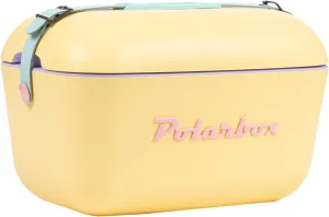 Retro Beach Cooler Vintage Picnic Lunch Box Bag Portable Cooler Travel Camping Hiking 90s Style Ice Chest