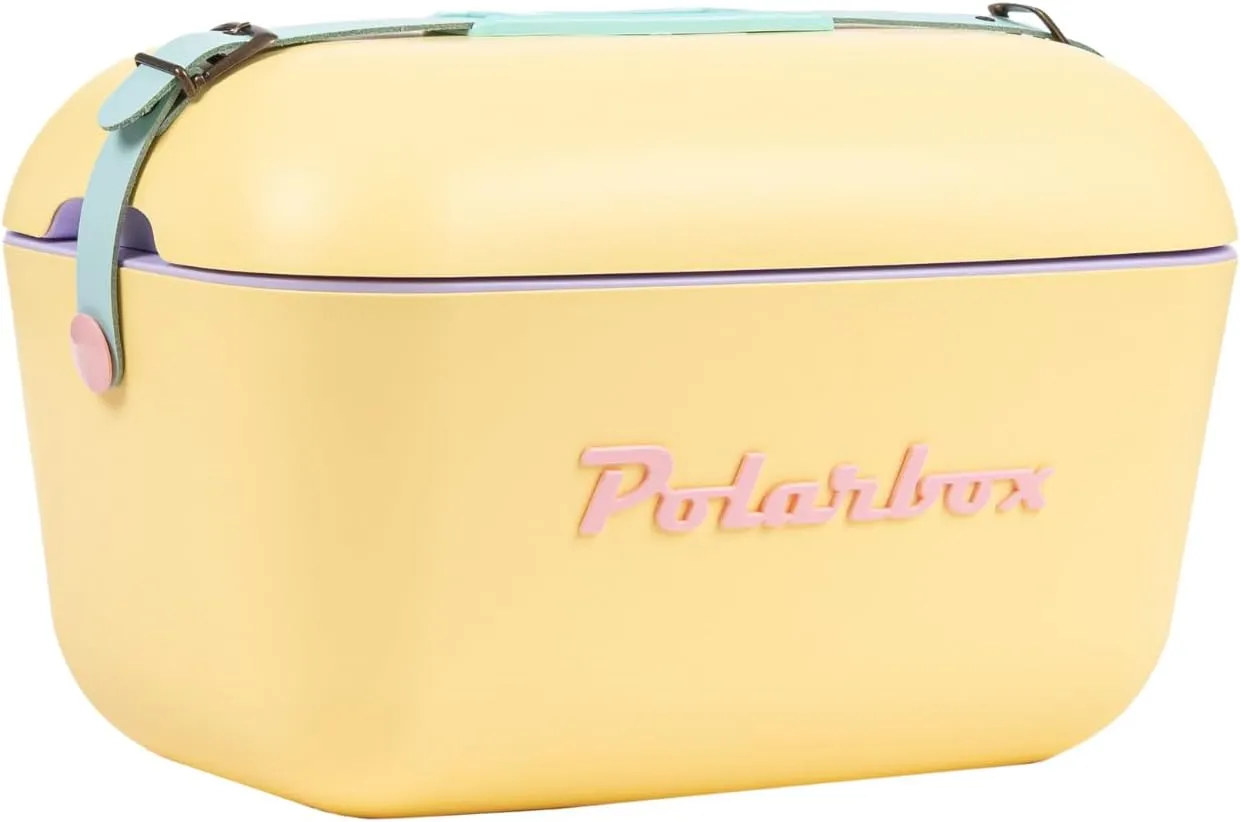 Retro Beach Cooler Vintage Picnic Lunch Box Bag Portable Cooler Travel Camping Hiking 90s Style Ice Chest
