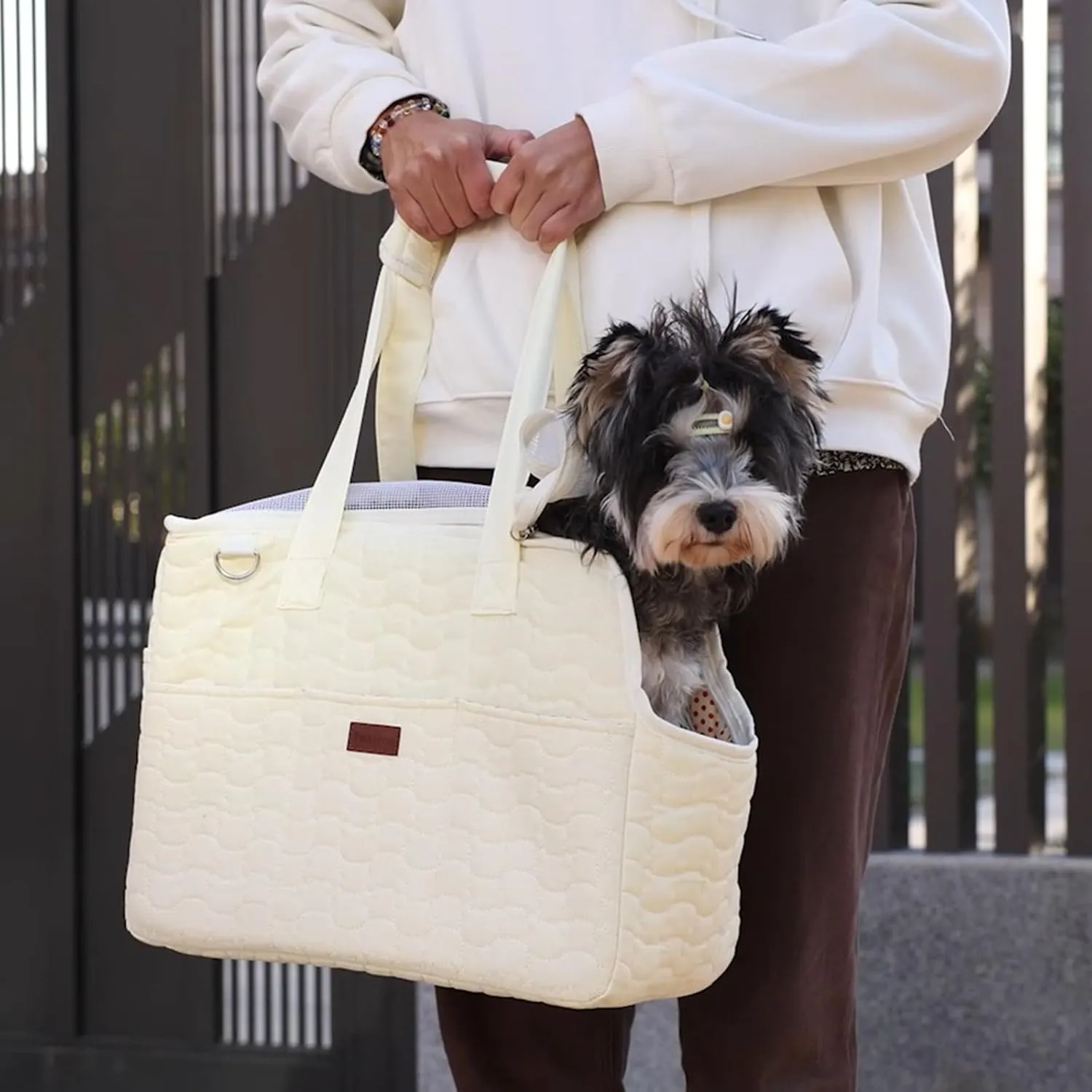 Small Dog Bag Puppy Purse Carrier for Small Dogs Adult Cat Carriers Large Cat,with Multiple Pockets,Breathable Mesh,Traveling Pets Tote Picnic Outdoor 15lb (Beige2, Large)