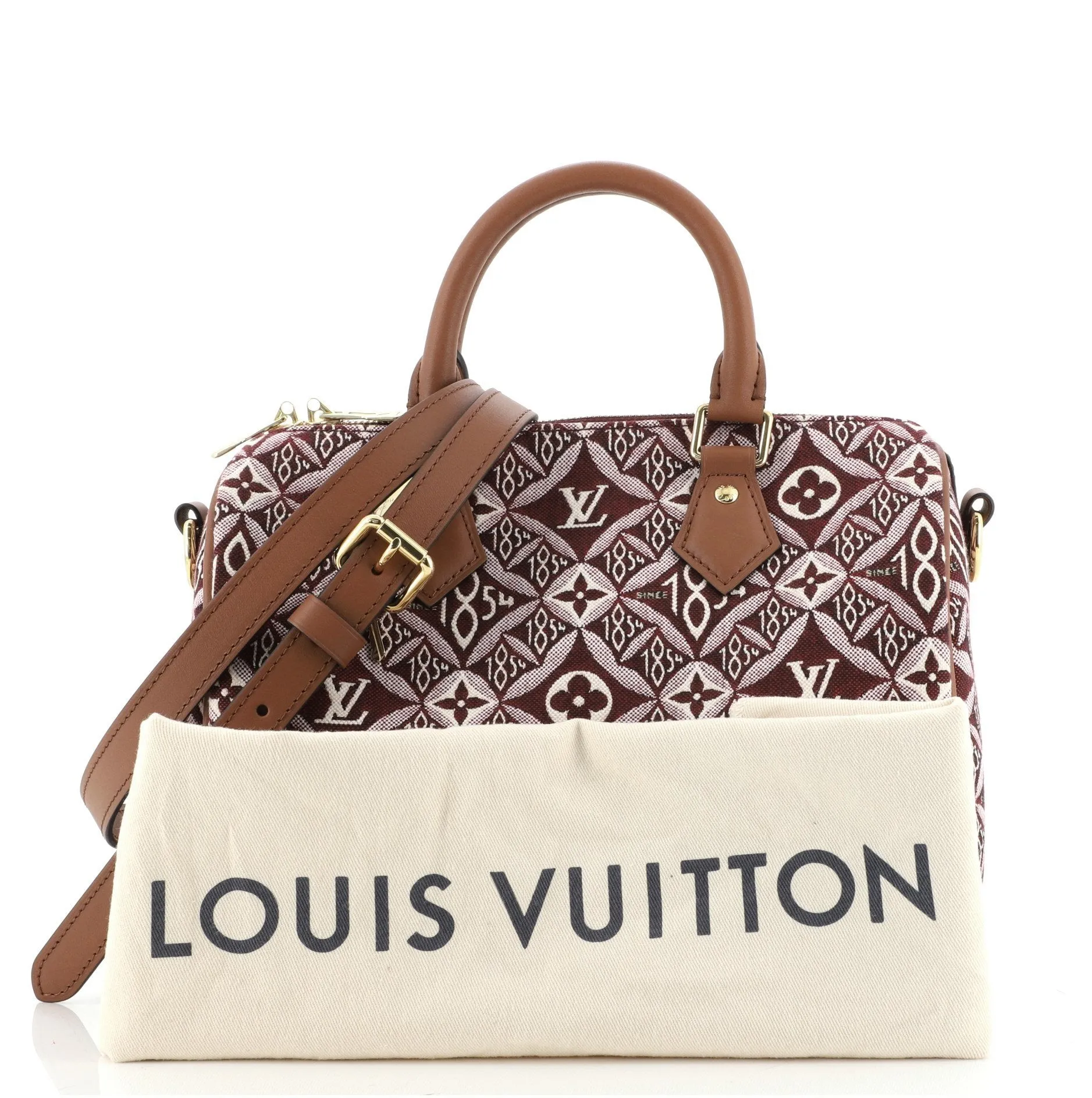 Speedy Bandouliere Bag Limited Edition Since 1854 Monogram Jacquard 25