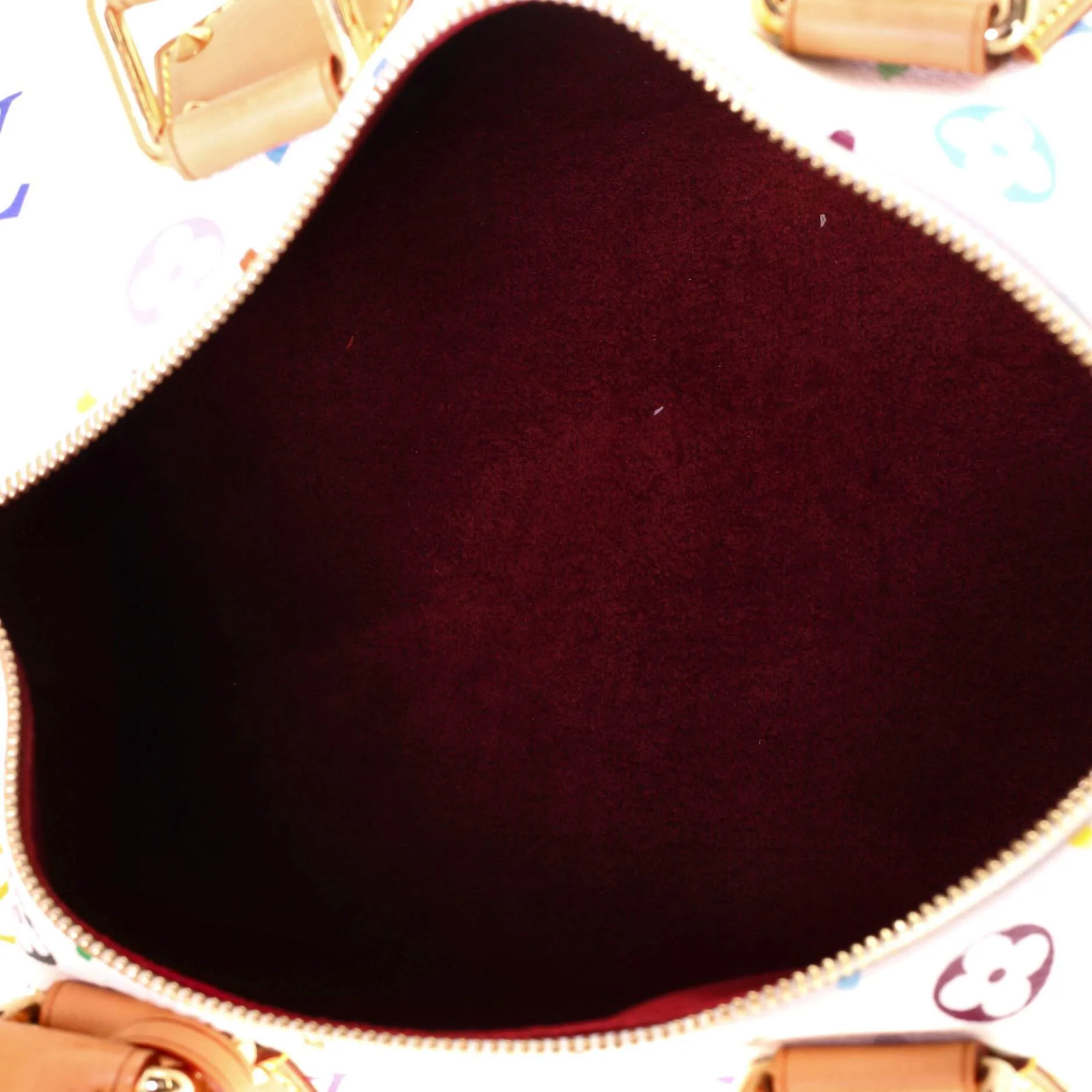 Speedy Handbag Monogram Multicolor 30