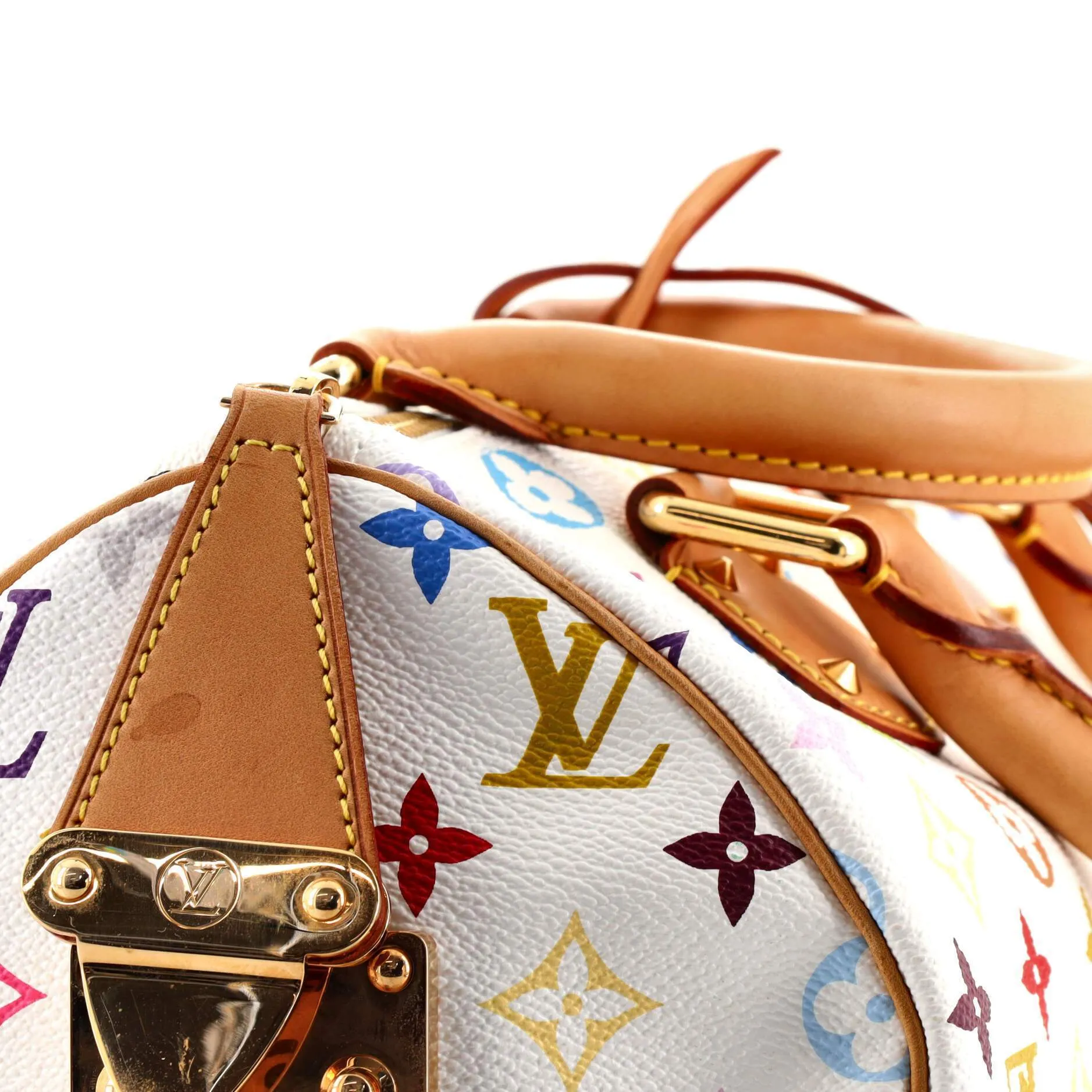 Speedy Handbag Monogram Multicolor 30
